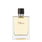 Hermès Terre d'Hermès EdT Produktbild 100ml Flasche - Parfümerie Digi-markets