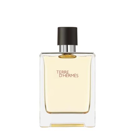 Hermès Terre d'Hermès EdT Produktbild 100ml Flasche - Parfümerie Digi-markets