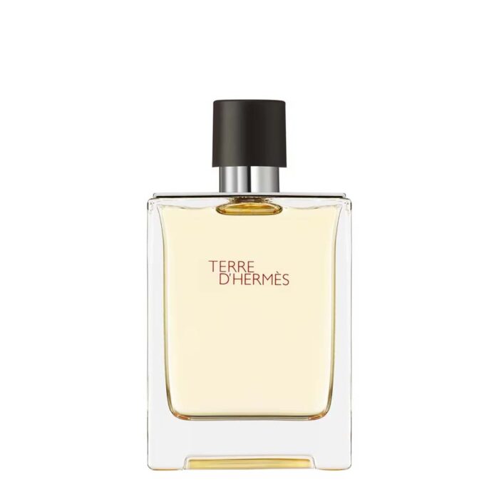 Hermès Terre d'Hermès EdT Produktbild 100ml Flasche - Parfümerie Digi-markets