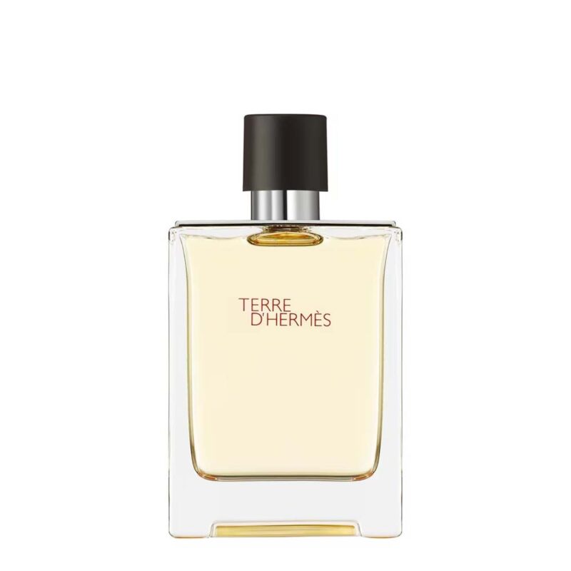 Hermès Terre d'Hermès EdT Produktbild 100ml Flasche - Parfümerie Digi-markets