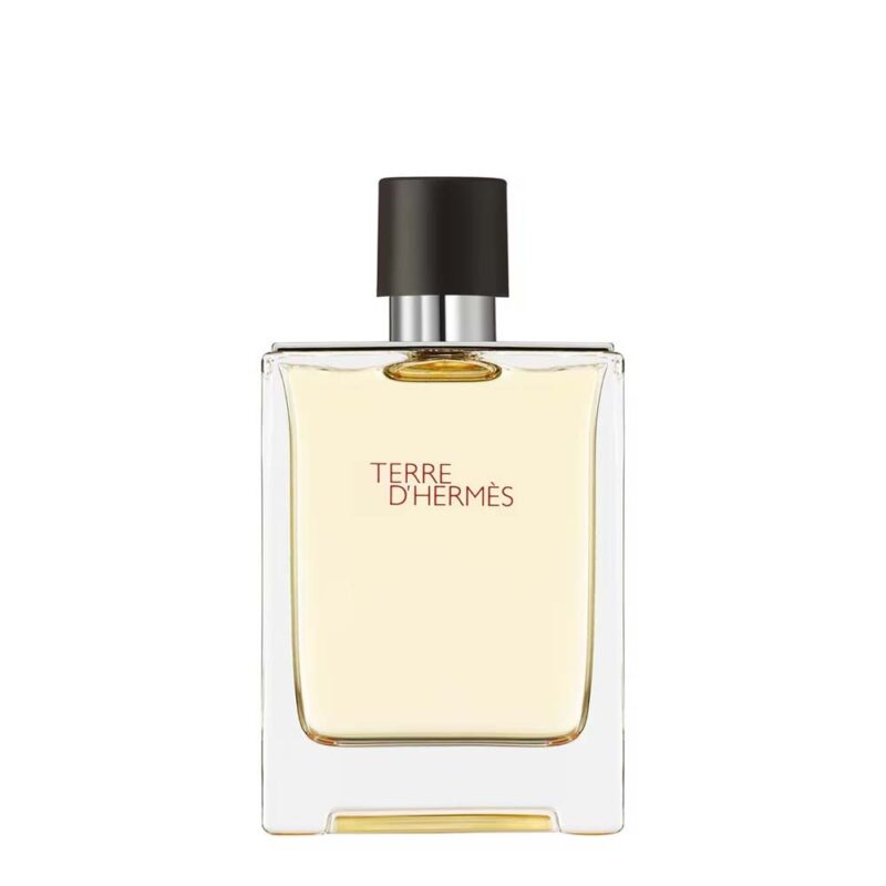 Hermès Terre d'Hermès EdT Produktbild 100ml Flasche - Parfümerie Digi-markets