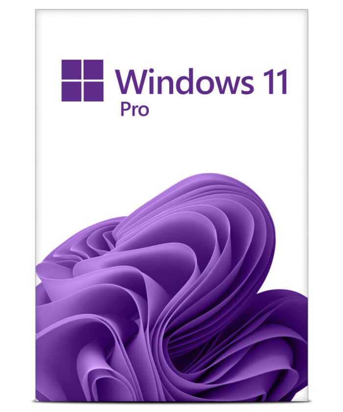 Windows-11-Pro-ESD (1)